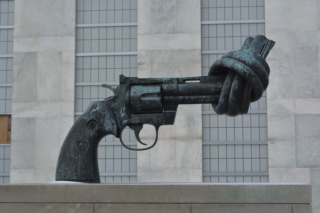 US Gun Violence Survivors and Advocates Run for Office to Push Reforms