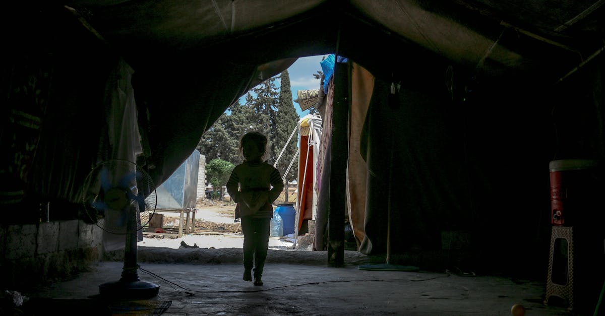 US Transgender Refugees Seek Asylum in the Netherlands Due to Hostile Environment