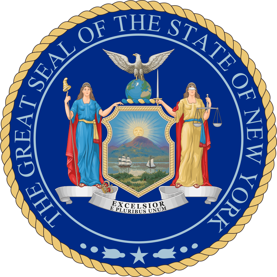 New York Gubernatorial Race: Delgado Names Progressive Running Mate, Hochul Announces Historic Ticket