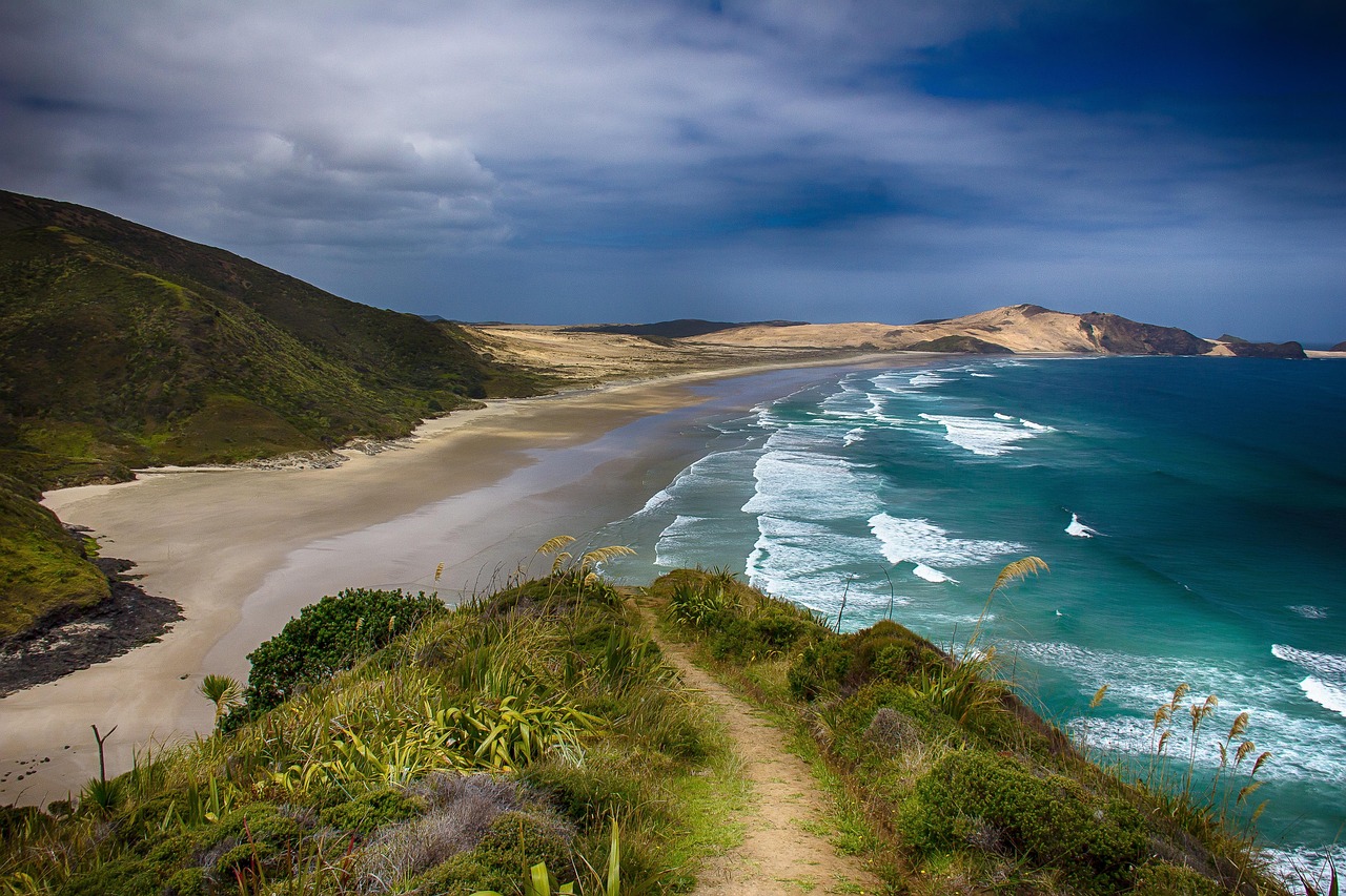 New Zealand Sees Surge in Golden Visa Applications After Relaxed Requirements in 2025