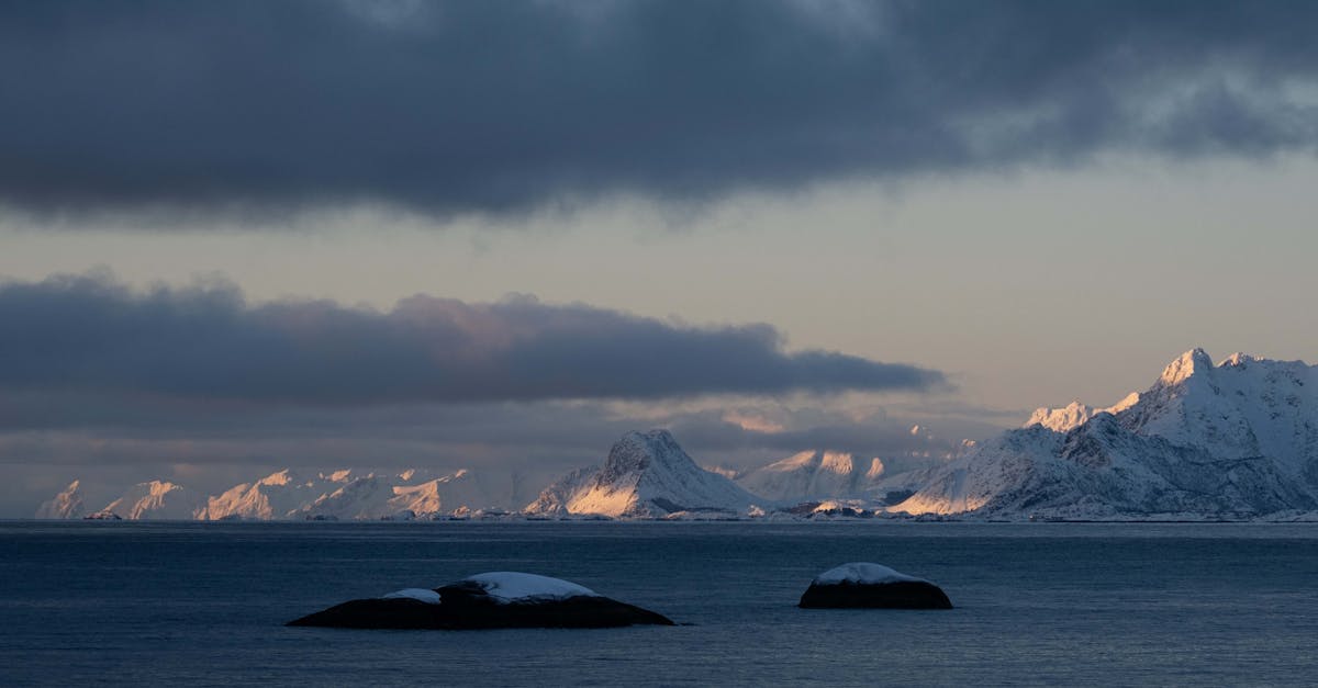 Trump announces then retracts tariffs on NATO allies opposing US Greenland control