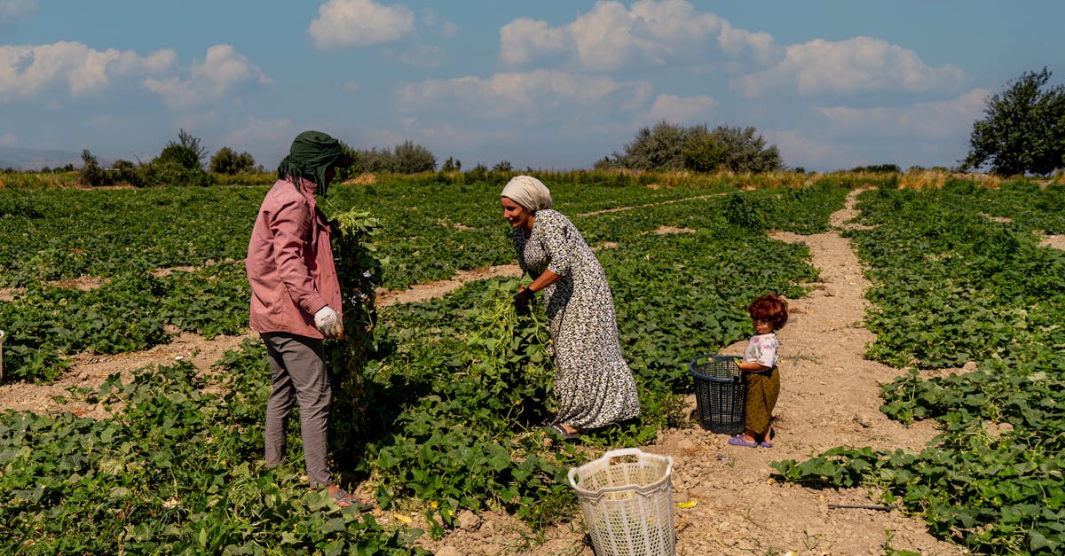 UAE Royal Family Receives Over €71m in EU Farming Subsidies