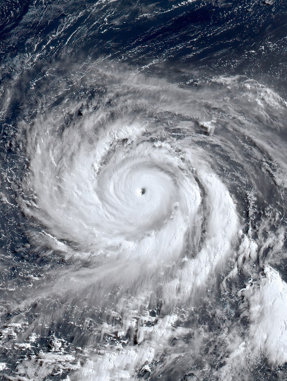 Taiwan braces as Typhoon Bavi strengthens offshore